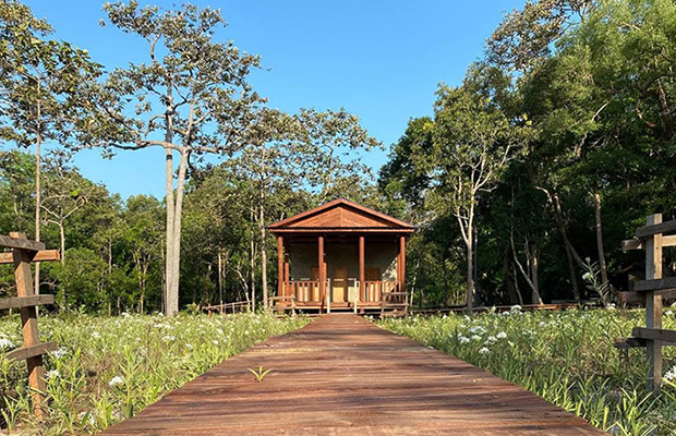 2-Day: Gibbon spotting Tour in Ratanakiri