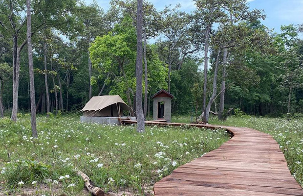 Explore Gibbon Spotting in Veun Sai-Siem Pang National Park