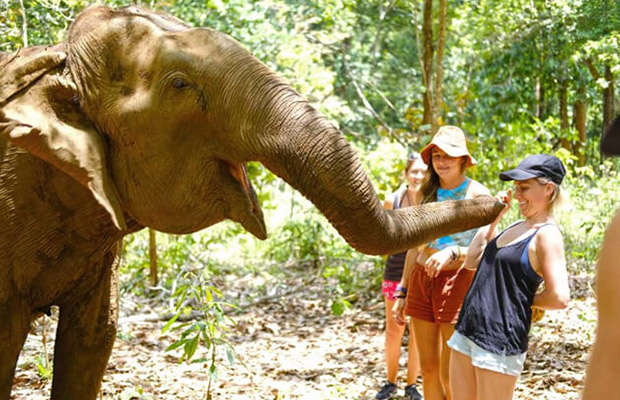 2-Day: Mondulkiri Amazing Adventure Tour