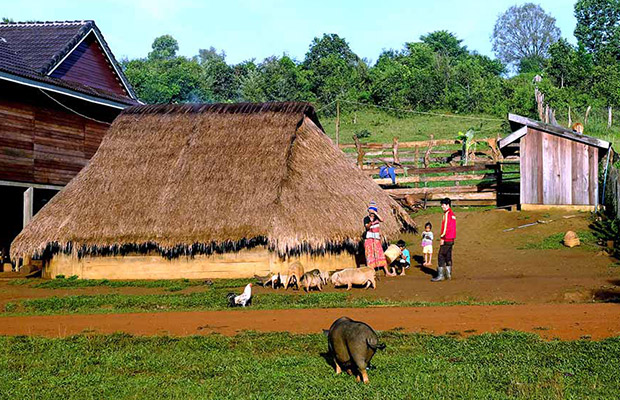 4-Day: Mondulkiri Trekking Tour with Nature Explorer