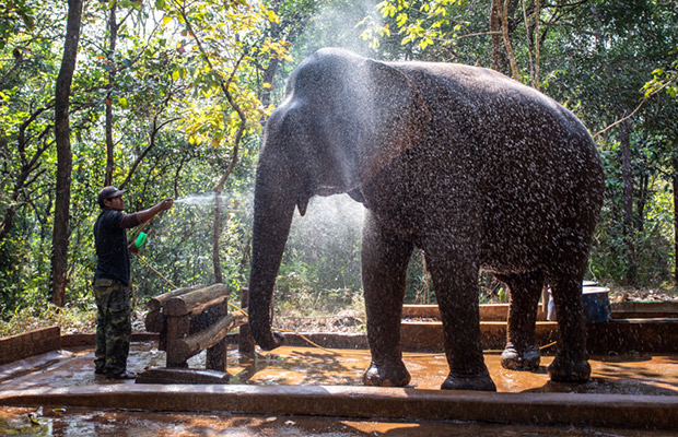 4-Day: Mondulkiri Trekking Tour with Nature Explorer