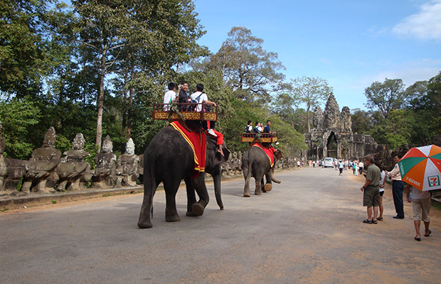 Angkor Wat Elephant Rides Tour