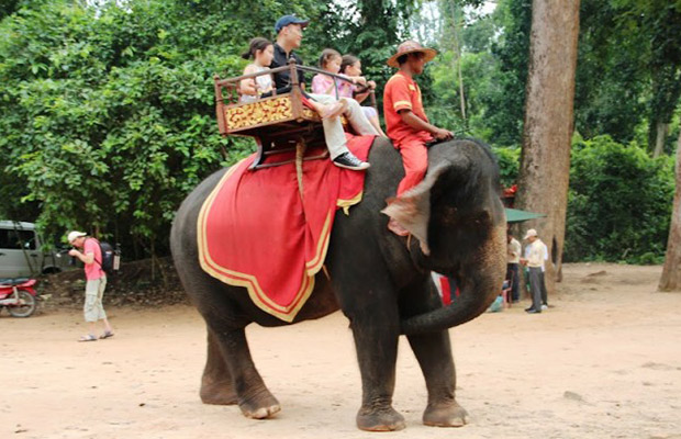 Angkor Wat Elephant Rides Tour