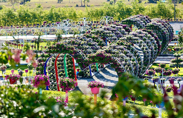 Angkor Wonder Garden