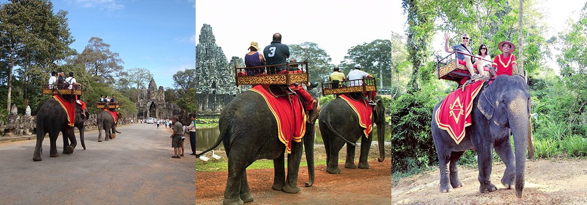 Angkor Wat Elephant Rides Tour