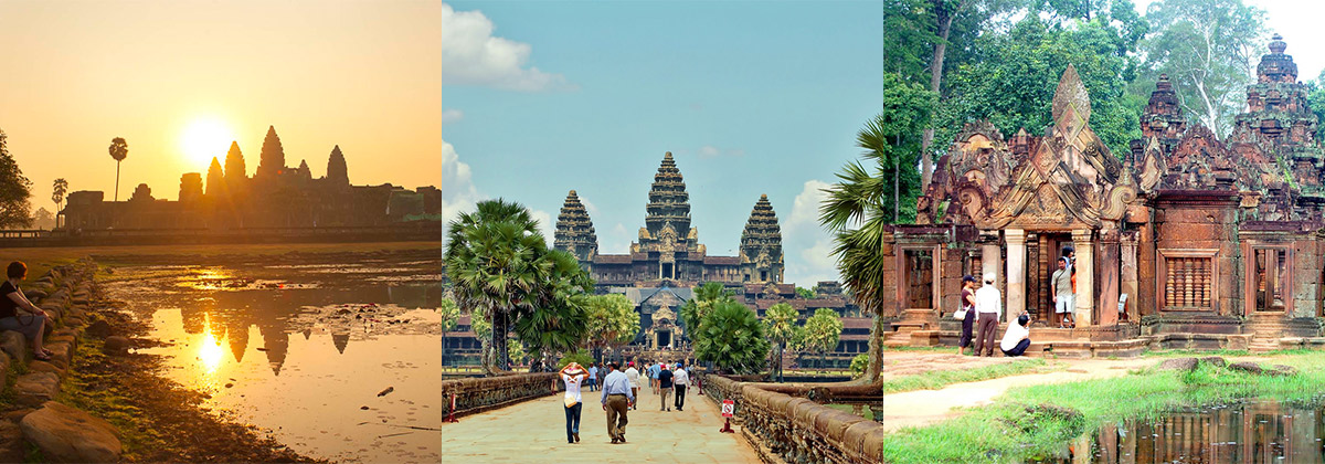 Day Trip Tours