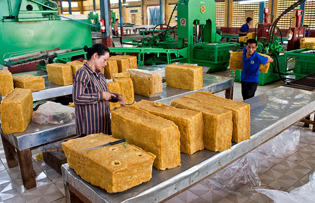 Chup Rubber Plantation Factory