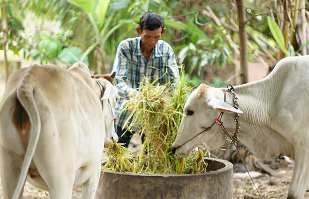 Countryside Bike Tour Siem Reap