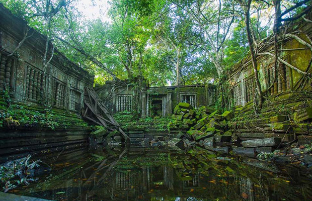 Discover Gibbon Spotting Adventure of Cambodia