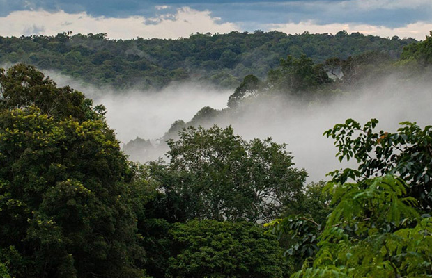 Elephant Adventure and Trekking to Keo Seima Wildlife Sanctuary