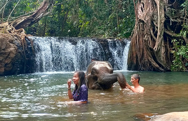 Elephant Community Project - Ethical Elephant Forest Sanctuary Day Trip