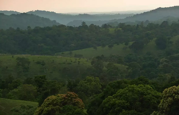 Elephant Community Project - Ethical Elephant Forest Sanctuary Day Trip