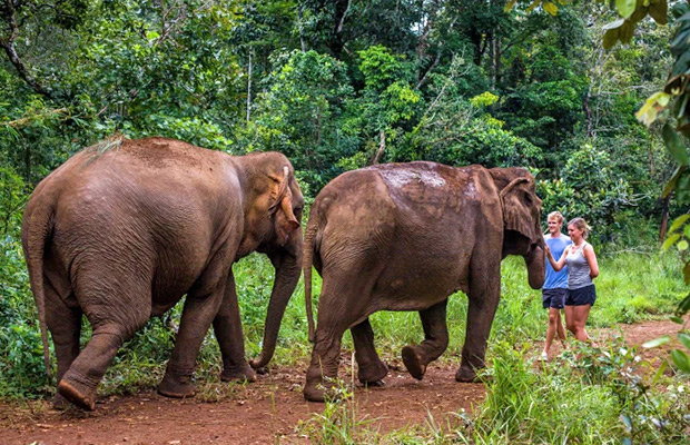 Elephant Community Project - Ethical Elephant Forest Sanctuary Day Trip