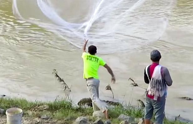 Fishing and Fruits picking park