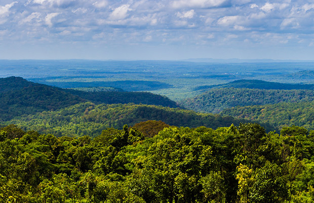 2-Day: Mondulkiri Jungle Trekking Tour