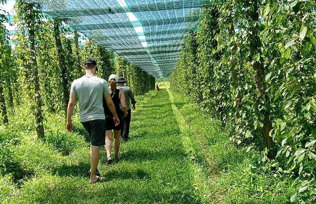 Full-Day Kampot-Kep including Bokor National Park Day Tour