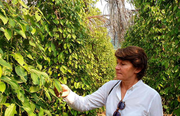 Full-Day Kampot Private Tour with English Local Tour Guide by Car