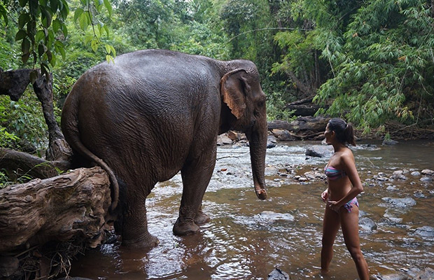 Full-Day: Mondulkiri Eco-friendly Elephant Experience Tour
