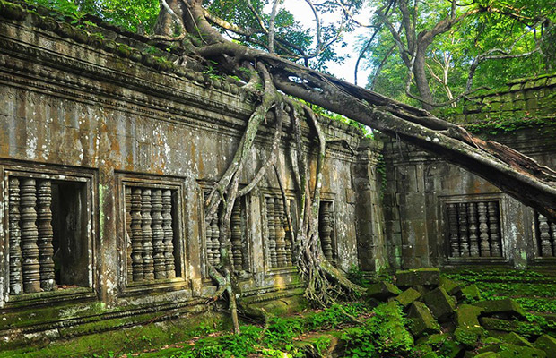 3-Day: Trekking to Beng Mealea, Koh Ker and Preah Vihear Tour from Siem Reap