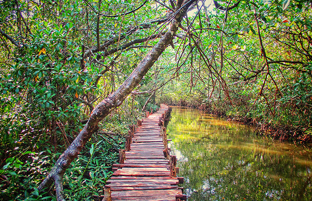 Full-Day: Prince Island and Mangrove Forest Private Day Tour