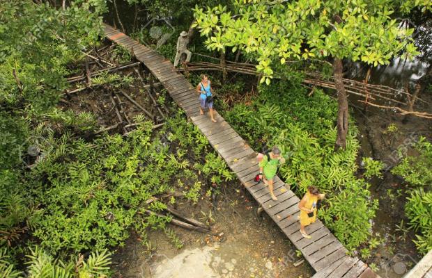Full-Day: Prince Island and Mangrove Forest Private Day Tour