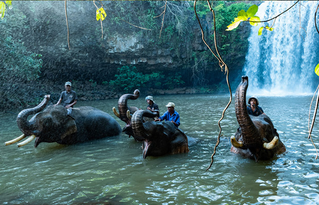 Full Day: Ratanakiri Adventure with Elephant Trekking Tour Program