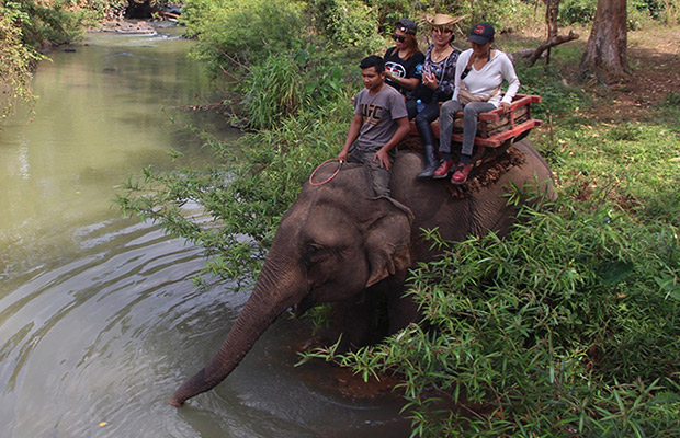 Full Day: Ratanakiri Adventure with Elephant Trekking Tour Program