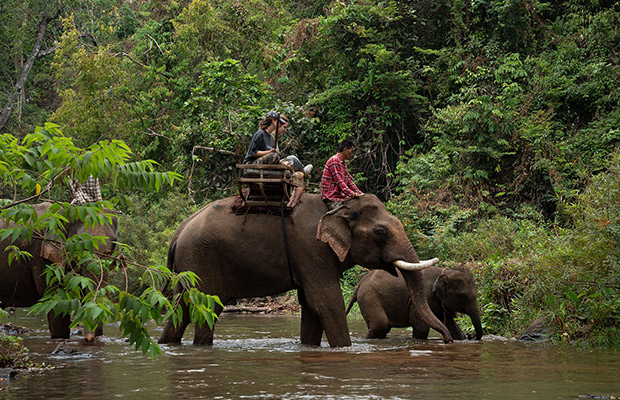 Full Day: Ratanakiri Adventure with Elephant Trekking Tour Program
