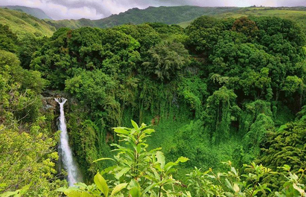 Virachey National Park Trekking & Bamboo Rafting Tour