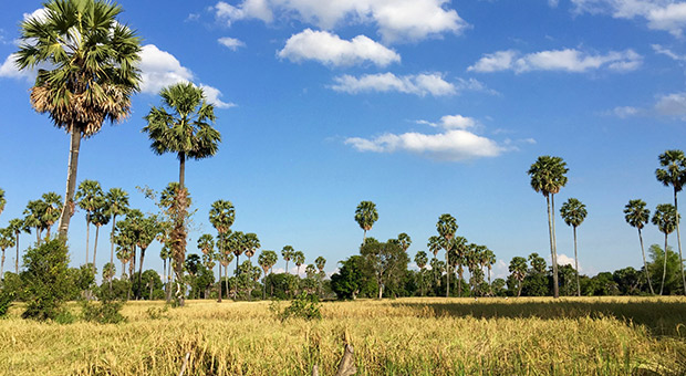 Kampong Chhnang Travel Guide