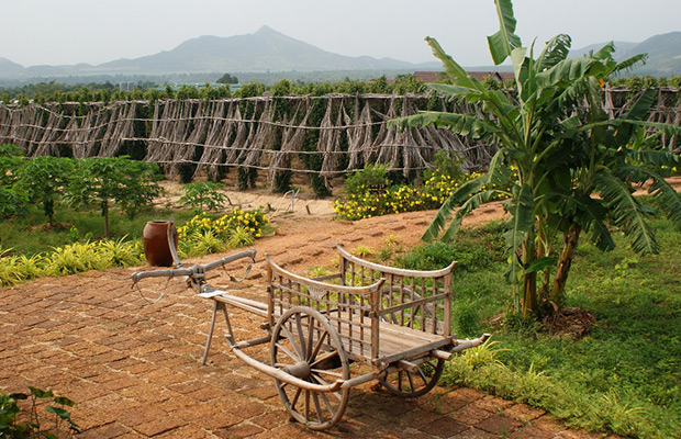 Kep Countryside Tour Include Pepper Farm, Cave, Salt Farm