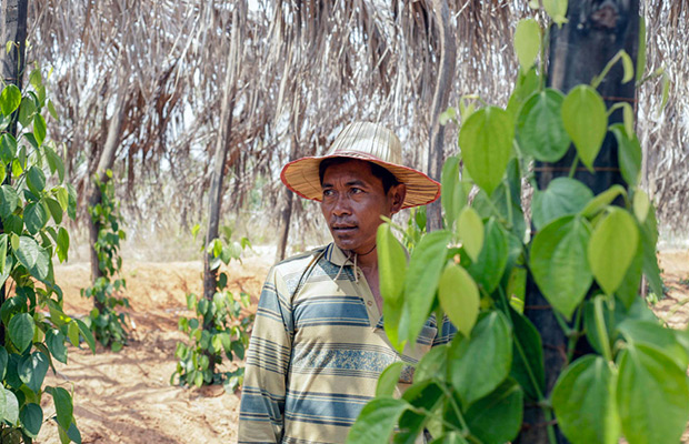 Kep Local Tuk Tuk Tour to Countryside & Pepper farm