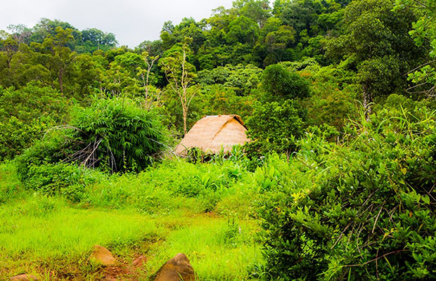 Kratie and Mondulkiri Discovery Tour