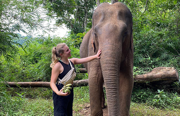 Elephant Community Project - Ethical Elephant Forest Sanctuary Day Trip
