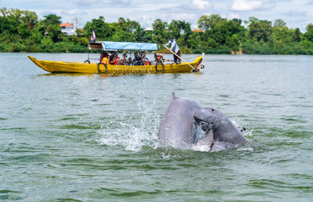 Kratie and Mondulkiri Discovery Tour