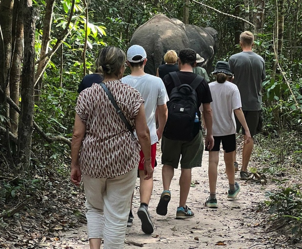 Kulen Elephant Forest Siem Reap