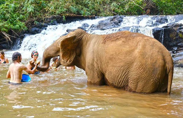 Mondulkiri Project