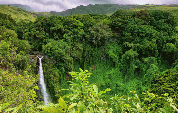 Mondulkiri Tours