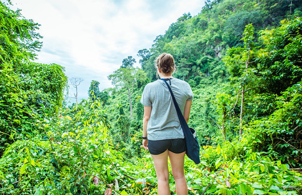 Mountain Jungle Trek in Virachey National Park