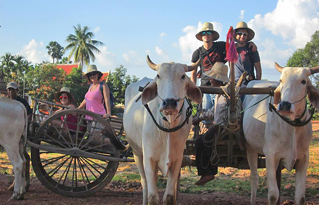 Ox-Cart Riding Tour Through Villages in Countryside