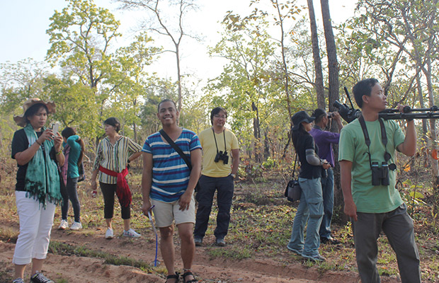 Siem Reap Bird Watch Day Tour