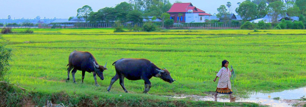 Siem Reap Local Life Tour