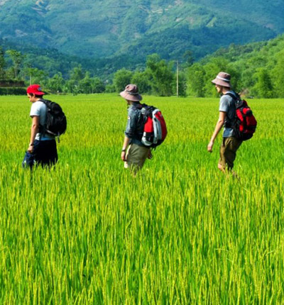 Trekking Tours
