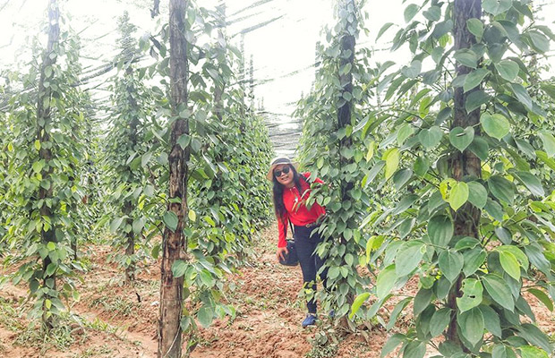 Tuk Tuk Tour Service to Pepper Farm and Secret Salt Lake