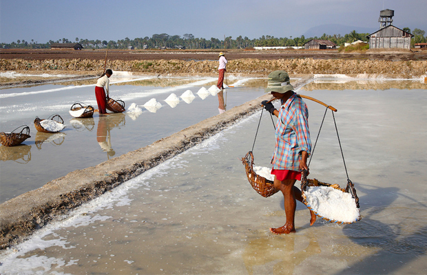 Tuk Tuk Tour Service to Pepper Farm and Secret Salt Lake