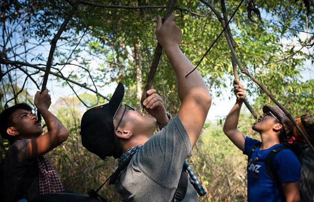 Virachey National Park Jungle Trek Discovery