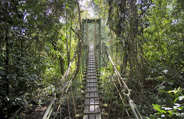 Virachey National Park Trekking & Bamboo Rafting Tour