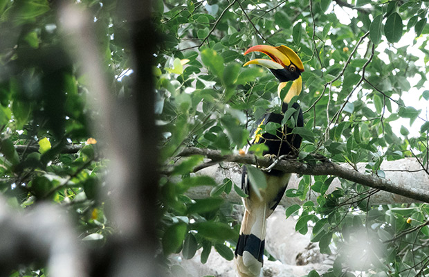 Virachey National Park Trekking & Bamboo Rafting Tour